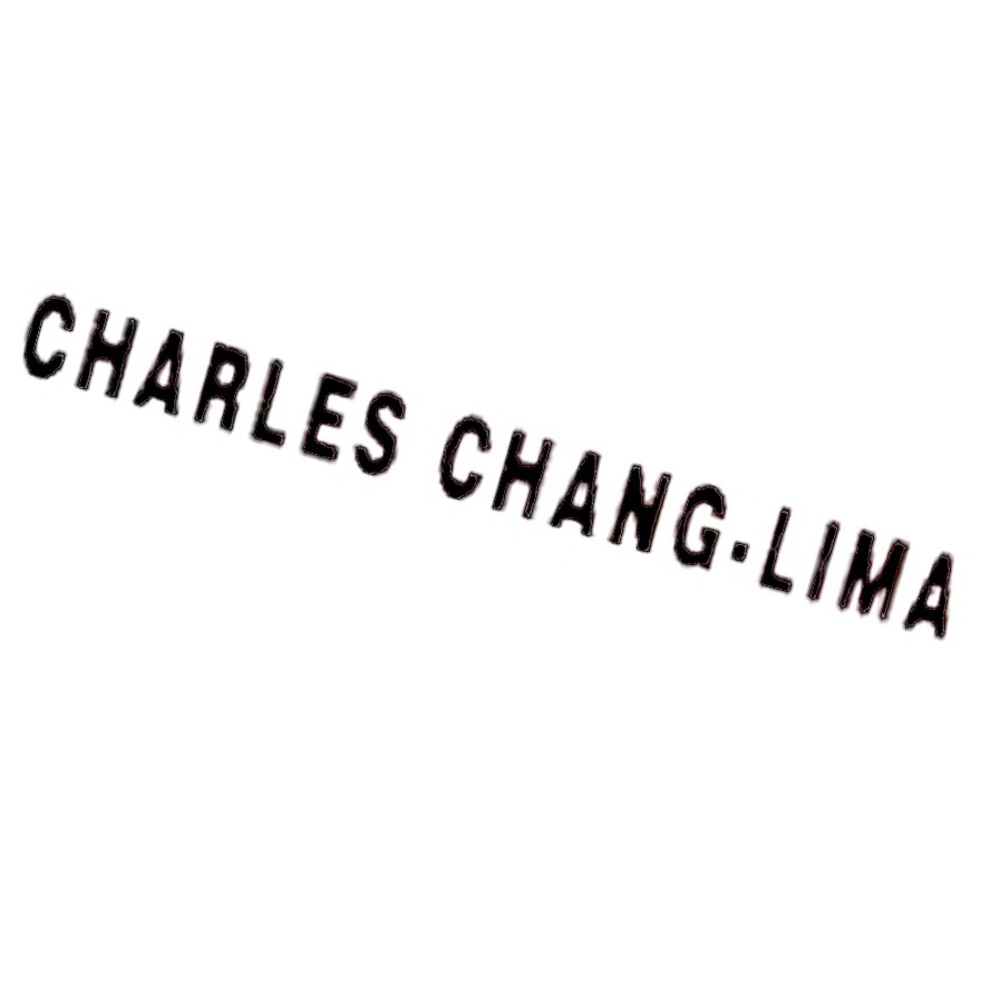 CHARLES CHANG LIMA | P | Mesh Floral Minimalist Spaghetti Strap Cami Tank Top